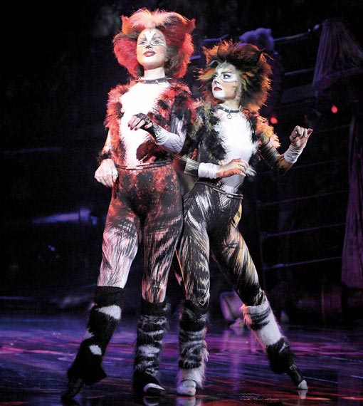 Cats - Bild 1