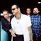 Social Distortion