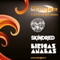 11. Openair Wavejam