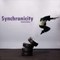 "SYNCHRONICITY" BY CAROLYN CARLSON