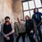 Gov’t Mule