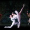 Das Russische Nationalballett
