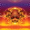 Psychedelic Carnival 8