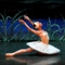 Moskau Staatsballett - Classical Russian Ballet - Schwanensee