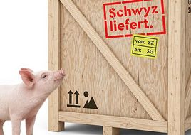 OLMA 2026: Der Kanton Schwyz kommt, Halle 9.0 wird zur Action Area