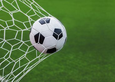 Bild: AdobeStock
