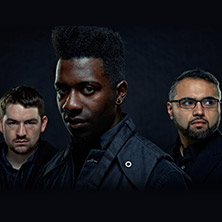 Animals as Leaders