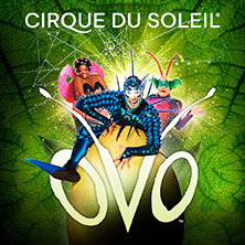 Cirque du Soleil - OVO