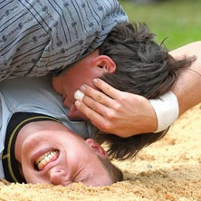 Eidgen&ouml;ssisches Schwing- und &Auml;lplerfest