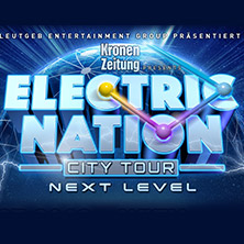 Electric Nation
