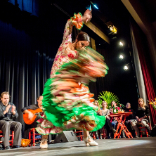 Flamencos de Mor&oacute;n