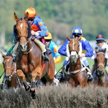 Pferderennen - Rennverein Z&uuml;rich