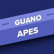 Guano Apes