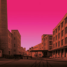 Hive Factory Festival