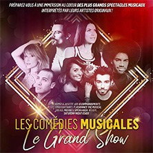 Les com&eacute;dies musicales