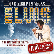 One Night in Vegas - Elvis The Show