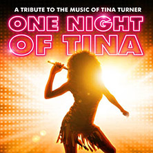 One Night of Tina