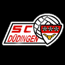 SC D&uuml;dingen