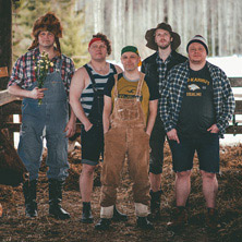 Steve 'n' Seagulls