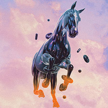 Terrazzza - Horse Park Festival