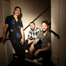 The Fray