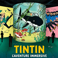 Tintin, l'aventure immersive