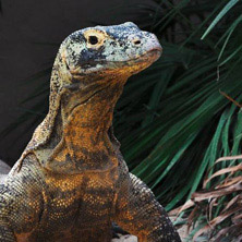 Tropiquarium de Servion