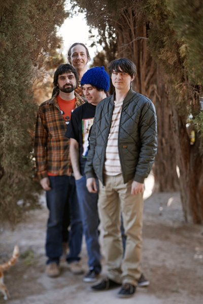 Animal Collective