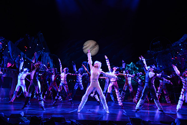 Cats &copy; Foto: Alessandro Pinna