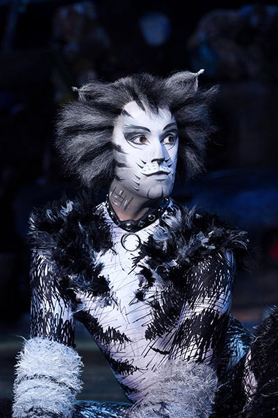 Cats &copy; Foto: Alessandro Pinna