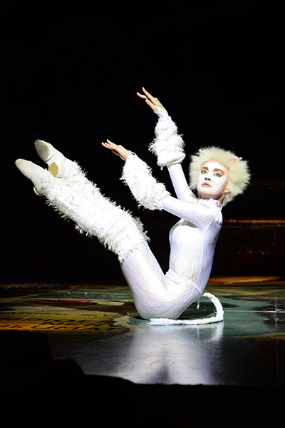 Cats &copy; Foto: Alessandro Pinna