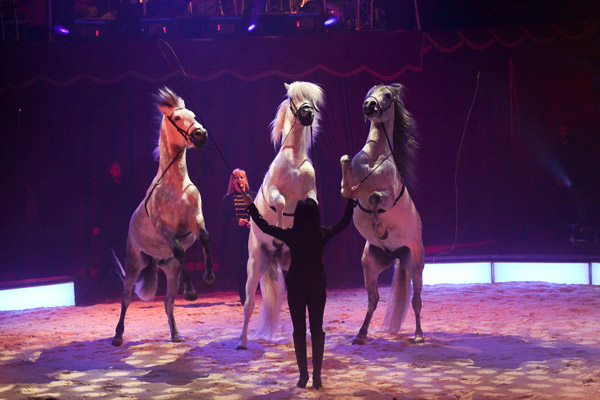 Circus Nock Tournee 2013