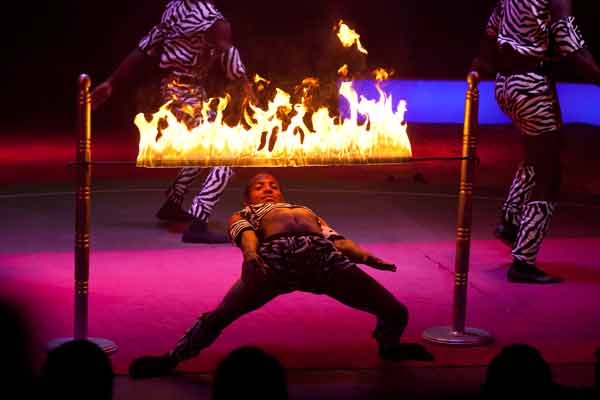 Circus Nock Tournee 2013