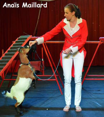 Cirque de No&euml;l 2015