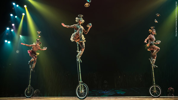 Cirque du Soleil - TOTEM