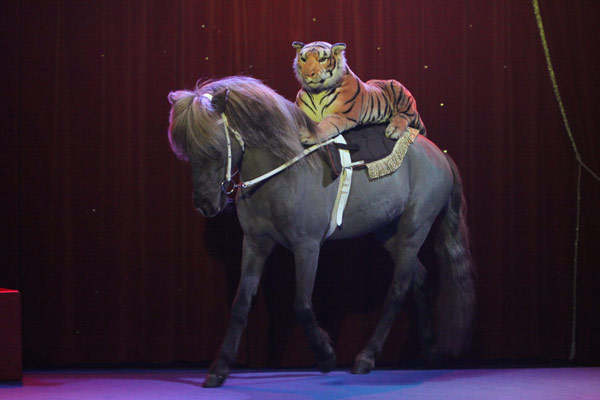 Cirque Helvetia 2014