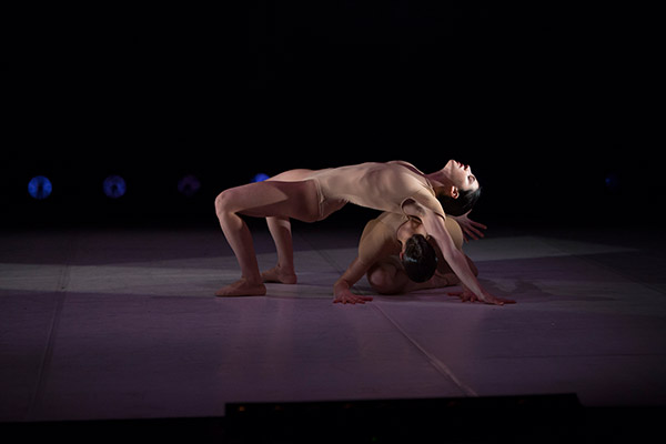 Elephant in the Black Box