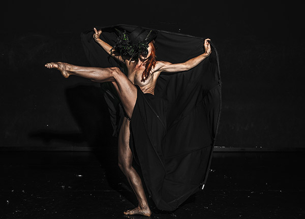 Elephant in the Black Box