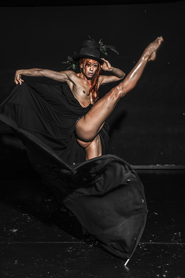 Elephant in the Black Box