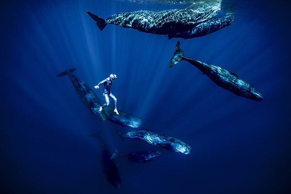 Guillaume N&eacute;ry