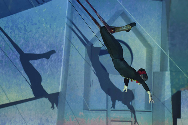 2015 - Himmel auf Erden - Engel bellen nicht