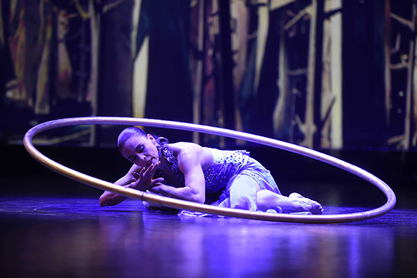 2015 - Himmel auf Erden - Engel bellen nicht