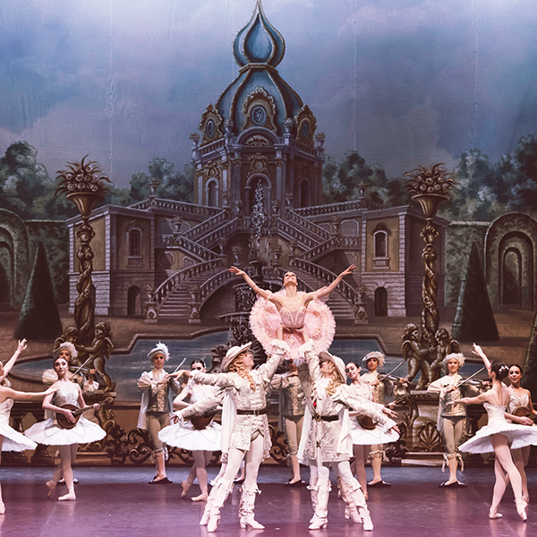 La belle au bois dormant