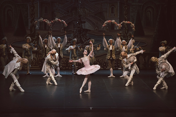 La belle au bois dormant