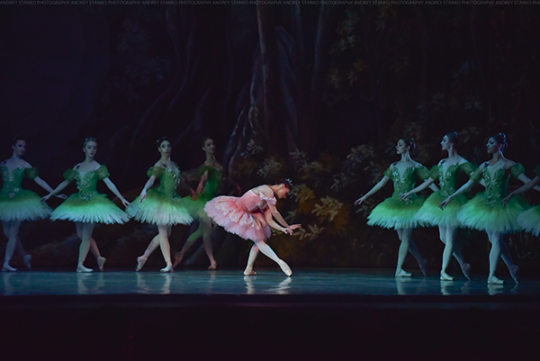 La belle au bois dormant