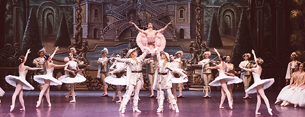 La belle au bois dormant