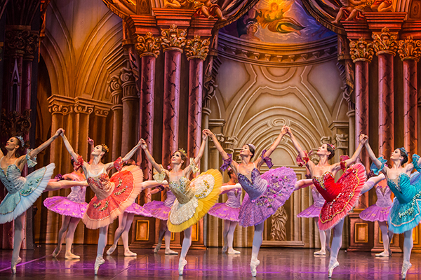 La belle au bois dormant