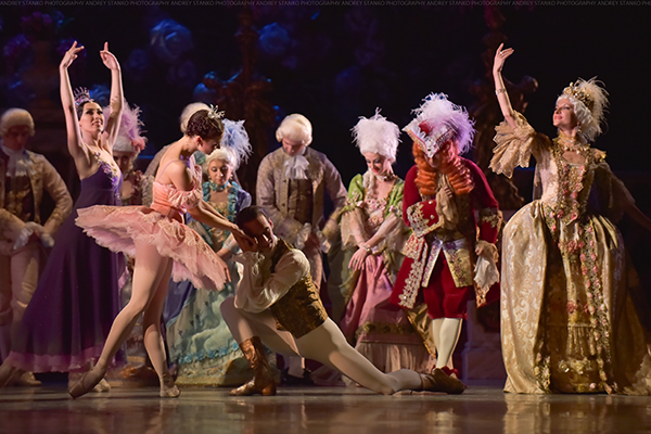 La belle au bois dormant