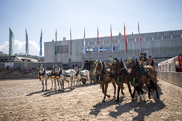 OFFA 2025 &copy; Michael Huwiler