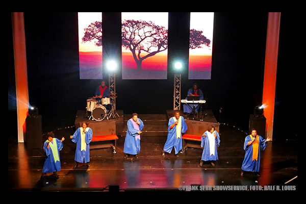 &copy; Frank-Serr-Showservice-Int